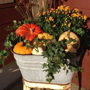 Meet your Posher, Beth